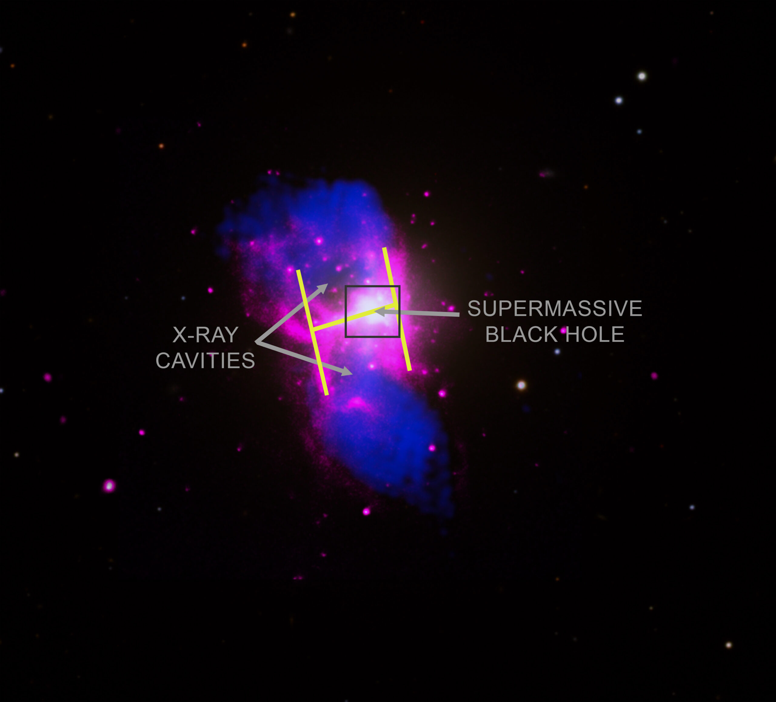 This is a composite image of M84 with X-ray data from Chandra (blue) and radio emission from the Very Large Array (red) overlaid on an optical image.  A number of bubbles generated from the supermassive black hole at the center of this giant galaxy are visible in this image.  The particles that create these bubbles travel outward from the black hole in the form of a two-sided jet.  Smaller bubbles are found within larger ones, and this nesting provides clear evidence for repeated outbursts from the central black hole.